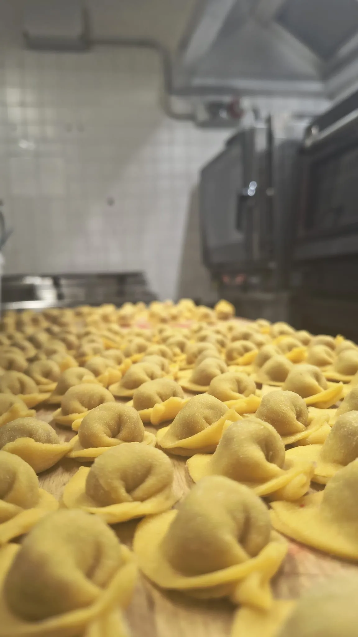 Tanti tortelli freschi pronti per la cottura Tanti tortelli freschi pronti per la cottura