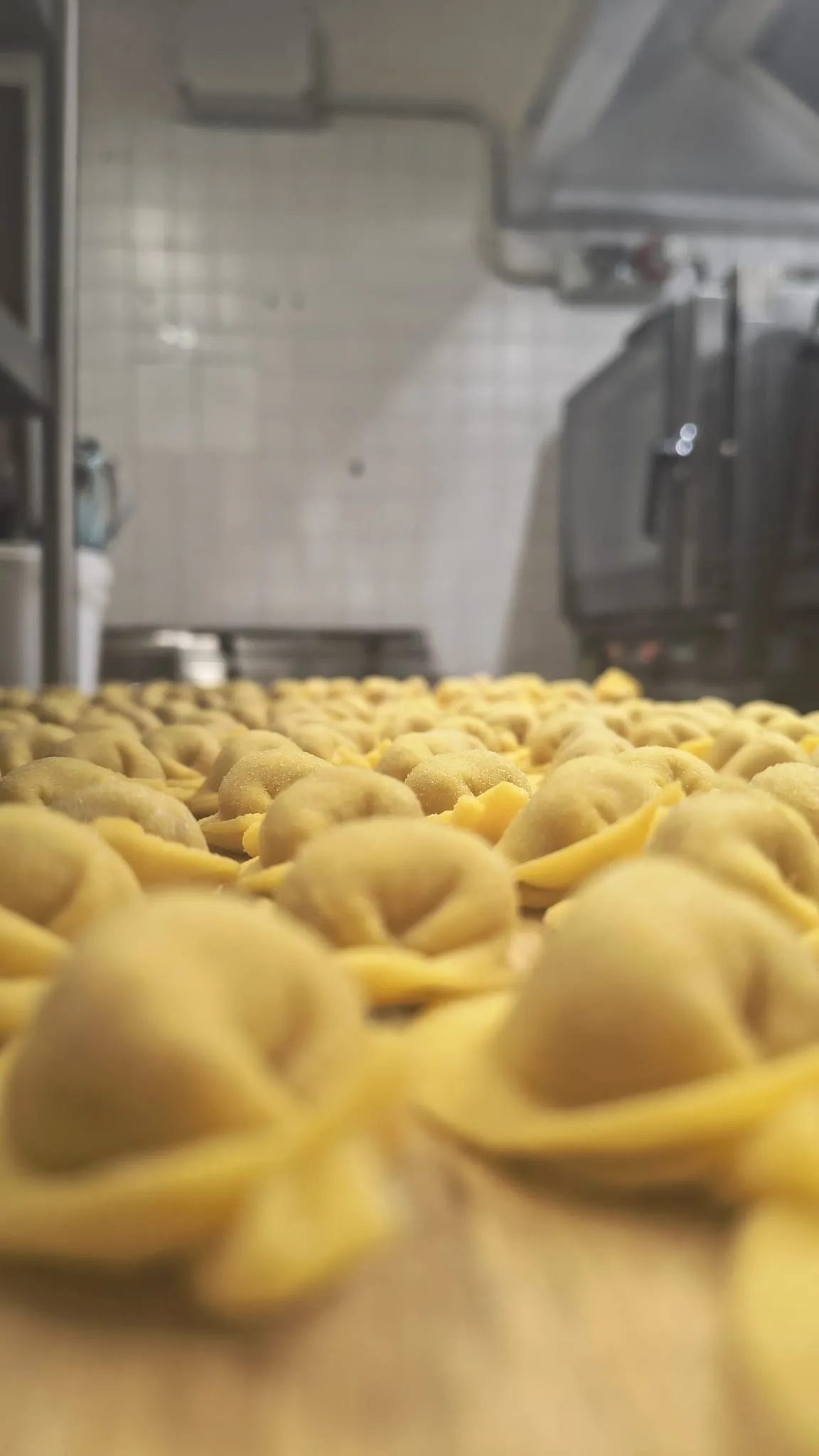 Tortelli freschi in fila nella cucina dell’osteria Tortelli freschi in fila nella cucina dell’osteria