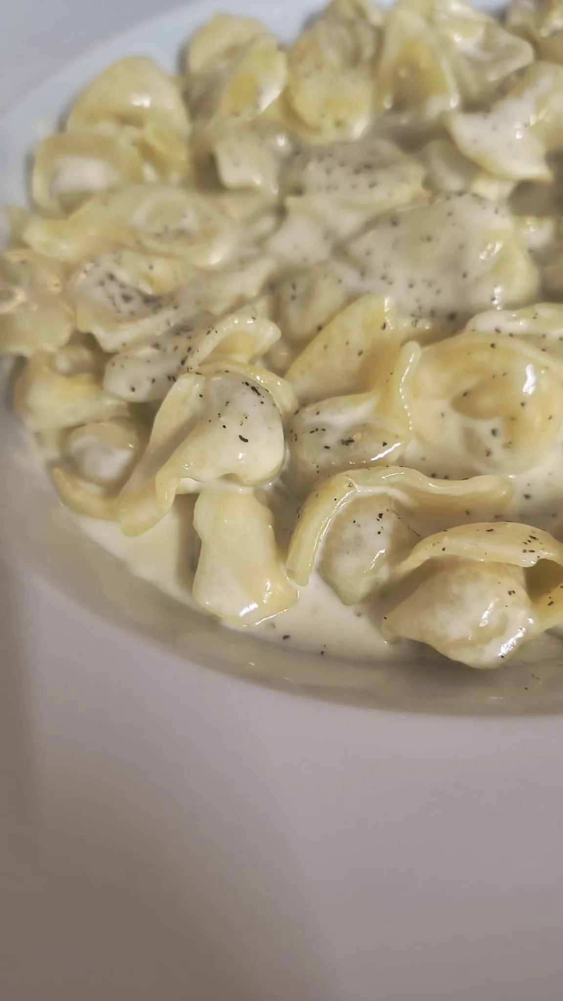 Primo piano di tortelli in crema con pepe nero Primo piano di tortelli in crema con pepe nero