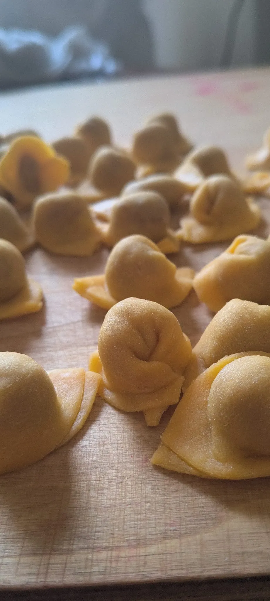 Tortelli appena chiusi, riposano sul tagliere Tortelli appena chiusi, riposano sul tagliere